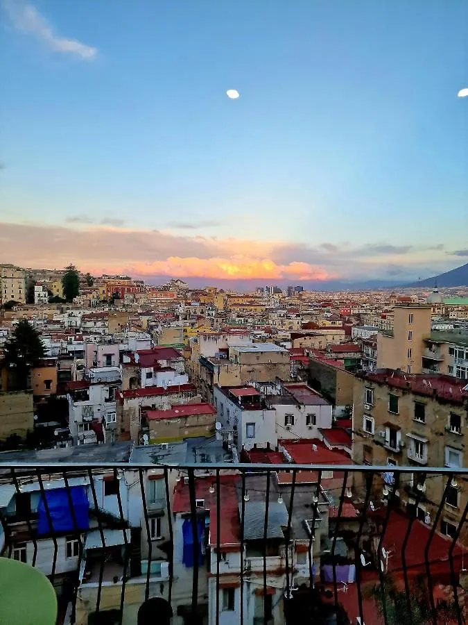 Olivella21 Luxury Apartment Montesanto contacts